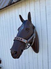 PERSONALIZED western  concho nylon horse halter.