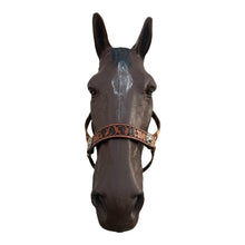 PERSONALIZED tan tribal nylon horse halter