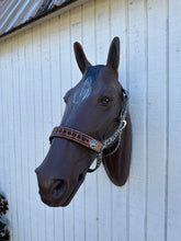 PERSONALIZED Cow print nylon horse halter