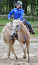 average horse knotted side pull hackamore  brown and black