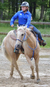 average horse knotted side pull hackamore  brown and black