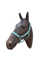 Teal Christmas Horse Halter