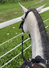 Black  mule tape tack set.