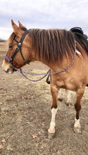 Side pull hackamore "with a whoa" bitless attachment.... black with  brown chinstrap...all sizes