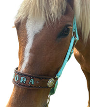 PERSONALIZED   nylon horse halter turquoise