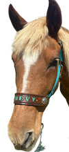PERSONALIZED teal nylon horse halter