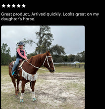 Fringe horse tack set,  (fringe breast collar, wither strap, reins, and bridle)