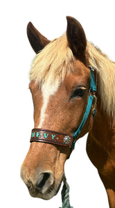 PERSONALIZED teal nylon horse halter