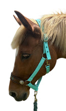 PERSONALIZED   nylon horse halter turquoise