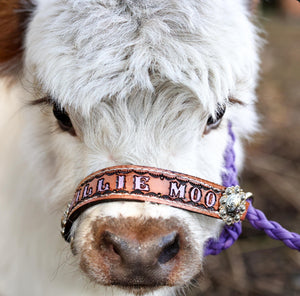 Personalized COW  halter small mini cow or large cow LILAC