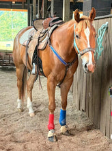 PERSONALIZED   nylon horse halter turquoise