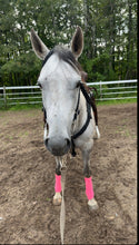 Black  mule tape tack set.