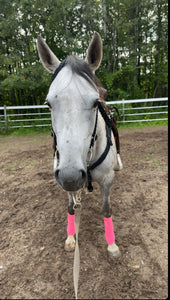 Black  mule tape tack set.