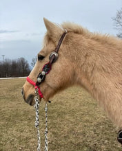 Side Pull Hackamore "with a whoa" bitless attachment all sizes  SOLID COLOR