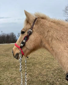 Side Pull Hackamore "with a whoa" bitless attachment all sizes  SOLID COLOR