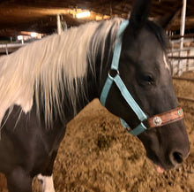 PERSONALIZED   nylon horse halter turquoise