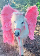 Braided pony or  horse halter with lead in light pink