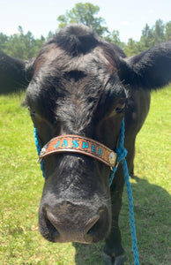 Personalized cow halter large COW  or mini cow size Carribean Blue