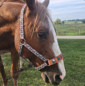 PERSONALIZED Cow print nylon horse halter