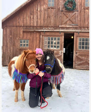 Pony Tripping collar red white and blue - Tiffanys Braided Tack LLC