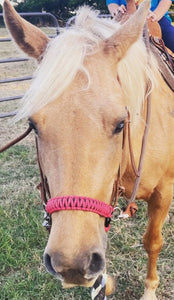 Hot pink side pull hackamore  bitless attachment “with a whoa”.... with black or  brown chinstrap...all sizes