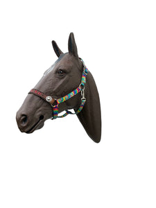 PERSONALIZED tie dye nylon horse halter