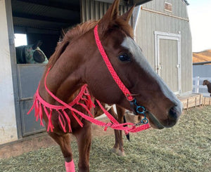 Pink mule tape tack set.