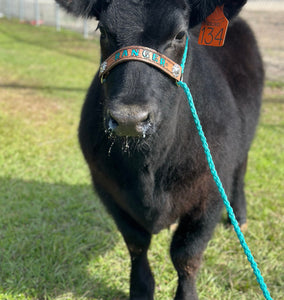 Personalized COW halter full cow size