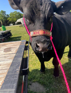 Personalized COW  halter large cow or mini cow size hot pink