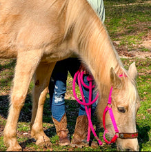 PERSONALIZED   nylon horse halter fuchsia.