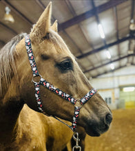 Vegas gambler nylon horse halter