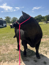 Personalized COW  halter large cow or mini cow size hot pink