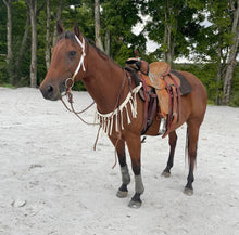 Mule tape horse tripping collar white - Tiffanys Braided Tack LLC