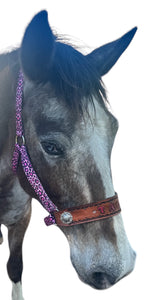 PERSONALIZED pink cheetah nylon horse halter.
