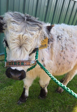 Personalized cow halter large cow or mini cow size Kelley Green