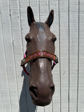 PERSONALIZED   nylon horse halter fuchsia.