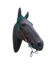 One ear mule tape and leather bridle