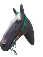 One ear mule tape and leather bridle