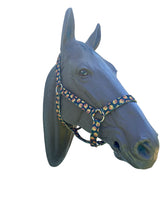 Halloween pumpkin Horse Halter
