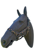 Halloween pumpkin Horse Halter