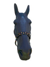 Halloween pumpkin Horse Halter