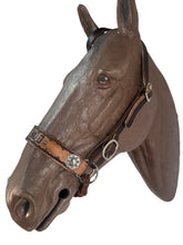 Horse complete leather cross personalized  Bitless bridle set