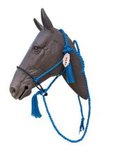 Lariat mule tape horse halter with personalized feather tag and  lead royal blue.