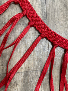 horse tripping  collar mule tape red.