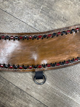 Tripping collar 4 aces with matching headstall.