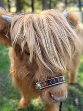 Personalized COW halter small mini cow or calf in brown