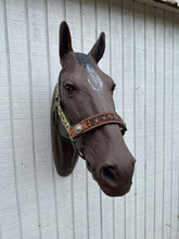 PERSONALIZED cow sunflower print nylon horse halter