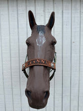 PERSONALIZED cow sunflower print nylon horse halter