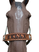 PERSONALIZED cow sunflower print nylon horse halter