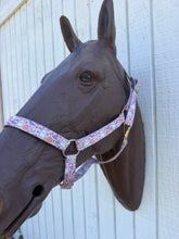 Horse Halter nylon tie dye